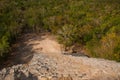 Coba, Mexico, Yucatan: Coba, Mexico, Yucatan: top view of the jungle and the steps of the great pyramid Coba Nohoch Mul