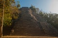 Coba, Mexico, Yucatan: Mayan Nohoch Mul pyramid in Coba. Upstairs are 120 narrow and steep steps.