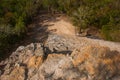 Coba, Mexico, Yucatan: top view of the jungle from the great pyramid of Coba Nohoch Mul