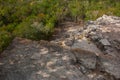 Coba, Mexico, Yucatan: top view of the jungle from the great pyramid of Coba Nohoch Mul