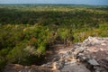 Coba, Mexico, Yucatan: top view of the jungle from the great pyramid of Coba Nohoch Mul