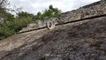 The Coba ruins