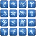 Cobalt Square 2D Icons Set