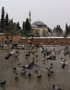 Coban Mustafa Pasha Mosque and Pigeons Royalty Free Stock Photo