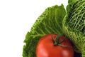 Cobbage and tomato Royalty Free Stock Photo