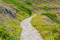 Cobble, stone foot path Royalty Free Stock Photo