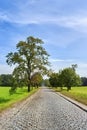 Cobble stone road shot in Poland Royalty Free Stock Photo