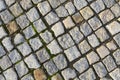 Cobble stones Brick walkways background