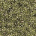 Cobble stones irregular mosaic pattern seamless background - pavement beige green mosaic colored Royalty Free Stock Photo