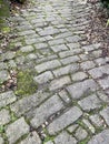 Cobble Stones Royalty Free Stock Photo