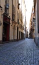 Cobbled central lane, city centre of Torino, Italy