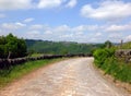 A cobbled country lane curving downhill into the distant wooded valley surrounded by dry stone walls and green fields