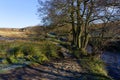 A cobbled footpath beside Burbage Brook in Padley Gorge