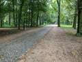 Cobbled, leafy path in the Grosser Tiergarten, Berlin, Germany