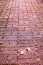 Cobbled path