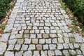 Cobbled path in the garden Royalty Free Stock Photo