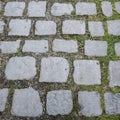 Cobbled Path