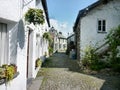 Cobbled road in old world setting