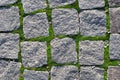 Cobbled road surface Royalty Free Stock Photo