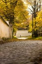 Cobbled street in autumn Royalty Free Stock Photo