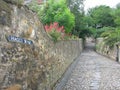 Cobbled Street, Culross