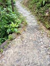 The cobbled streets in an alley in the village are very neat