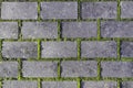 Cobbles close-up with a  green grass in the seams. Royalty Free Stock Photo