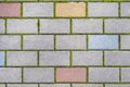 Cobbles close-up with a green grass in the seams. Cobblestone pavement Royalty Free Stock Photo