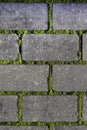 Cobbles close-up with a green grass in the seams. Old stone pavement texture. Cobblestoned pavement . Abstract background. Royalty Free Stock Photo