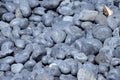 Cobbles, smooth and round Royalty Free Stock Photo