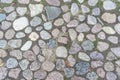 Cobbles stones close up and green grass in it seams on urban cobblestoned pavement Royalty Free Stock Photo