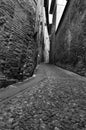 Cobblestone alley