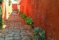 Cobblestone alley along the orange red color old buildings in Monastery of Santa Catalina, UNESCO World Heritage site, Arequipa Royalty Free Stock Photo