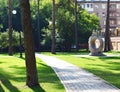 A cobblestone alley near in the middle of tall tree trunks in the summer. Green lawn Royalty Free Stock Photo