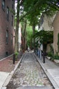 A Cobblestone Alleyway in the City of Philadelphia Royalty Free Stock Photo