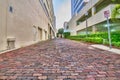 Cobblestone Back Alley Road Royalty Free Stock Photo