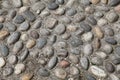 Old city pavement made of pebbles. Milan, Northern Italy, Europe Royalty Free Stock Photo