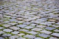 Cobblestone background Royalty Free Stock Photo