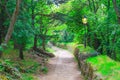 Cobblestone brick path with street light lamp in park forest with green trees and bushes Royalty Free Stock Photo