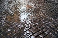 Cobblestone brick paved street in Rome Royalty Free Stock Photo