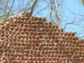 Cobblestone building wall detail Sodus Point NYS Royalty Free Stock Photo