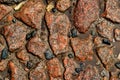 Cobblestone city street after summer rain Royalty Free Stock Photo