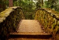 Cobblestone Crossing Royalty Free Stock Photo