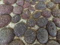 Cemented cobblestone floor texture background