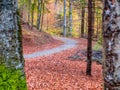 Cobblestone hiking path called Royal Path (Poteca Regala) in Sinaia, Romania. Autumn landscape in Carpathian Mountains Royalty Free Stock Photo