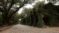 Cobblestone Lane Flanked By Ivy Covered Stone Arches Royalty Free Stock Photo