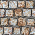 S050 Seamless texture - cobblestone pavers