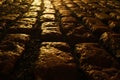 Cobblestone Path