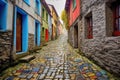 cobblestone path with colorful doors and windows