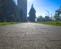 a cobblestone path in a park in the city center. natural contour light.
